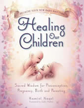 Pregnancy Books Healing Our Children
