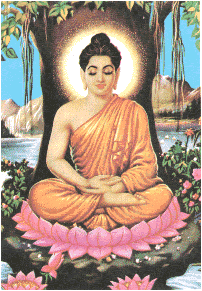 Buddha Meditating in front of tree